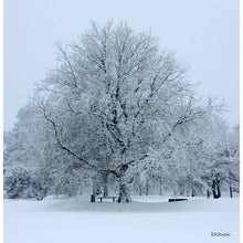 Indlæs billede til gallerivisning &quot;Winter mood&quot;
